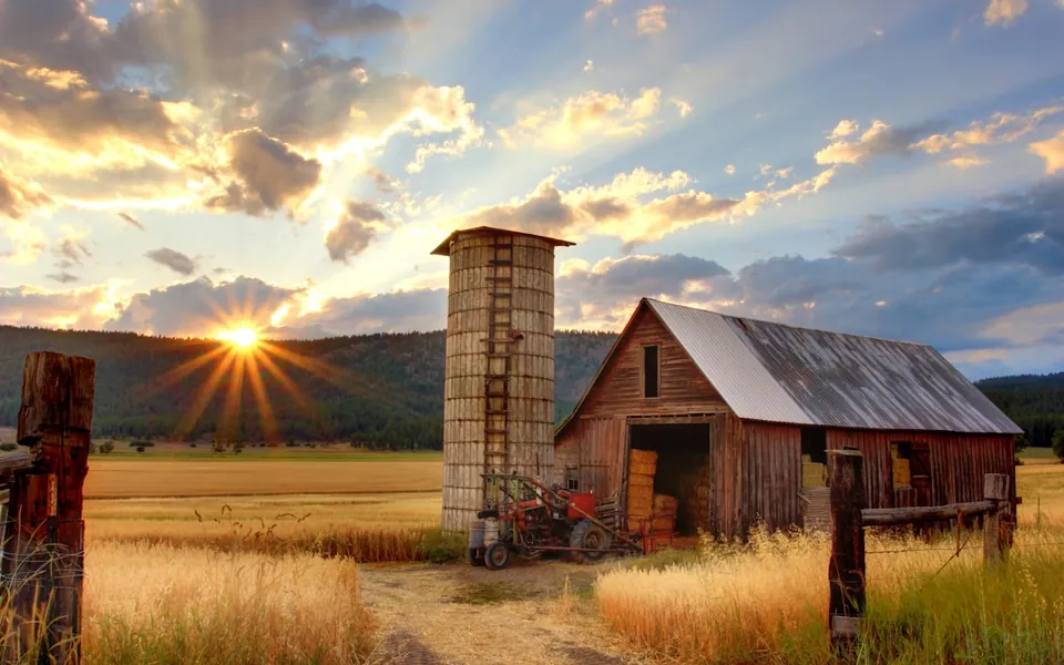 Metal Barn & Outbuilding Wiring — CD Electrical Services